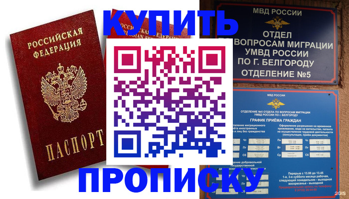 прописка иностранных граждан в Ковдоре